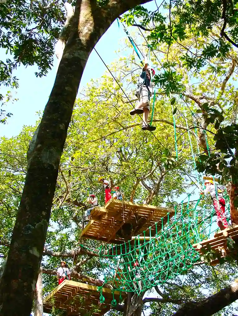 Big papa high rope768 Mega Mix Adventure Costa Rica