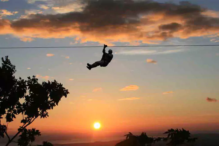 night zipline