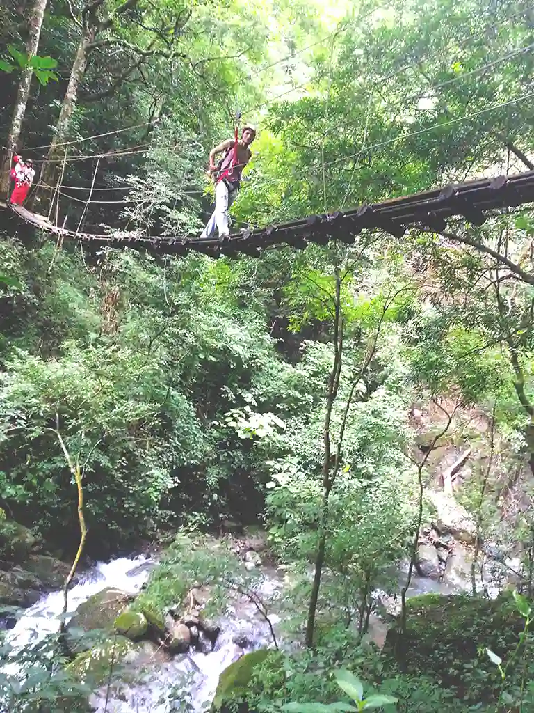 Costa-Rica-Zip-Line-bridge768