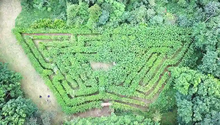 Labyrinth-Maze-768