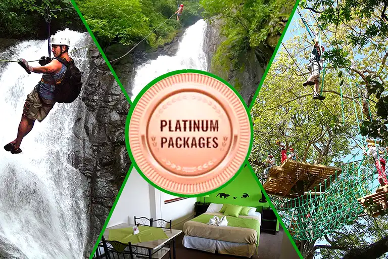 Platinum-Package768