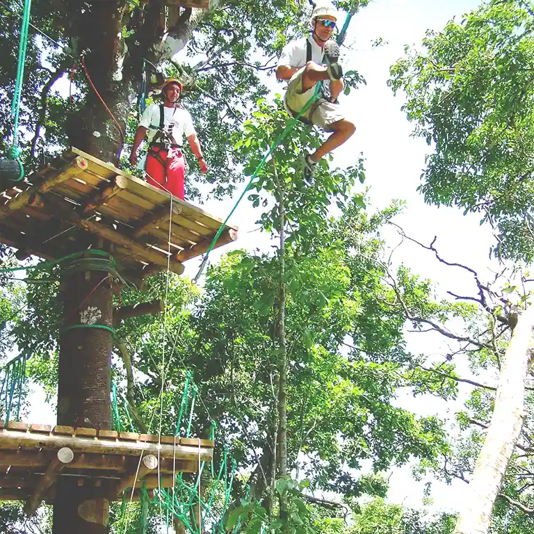 Tarzan-swing768-1